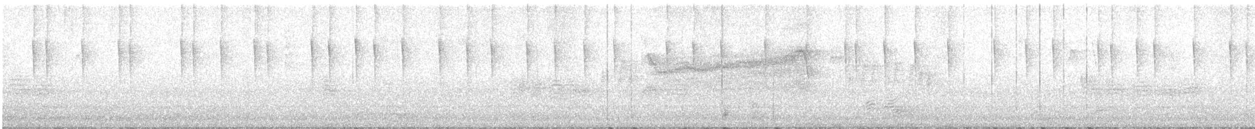 Barred Owl - ML638545753