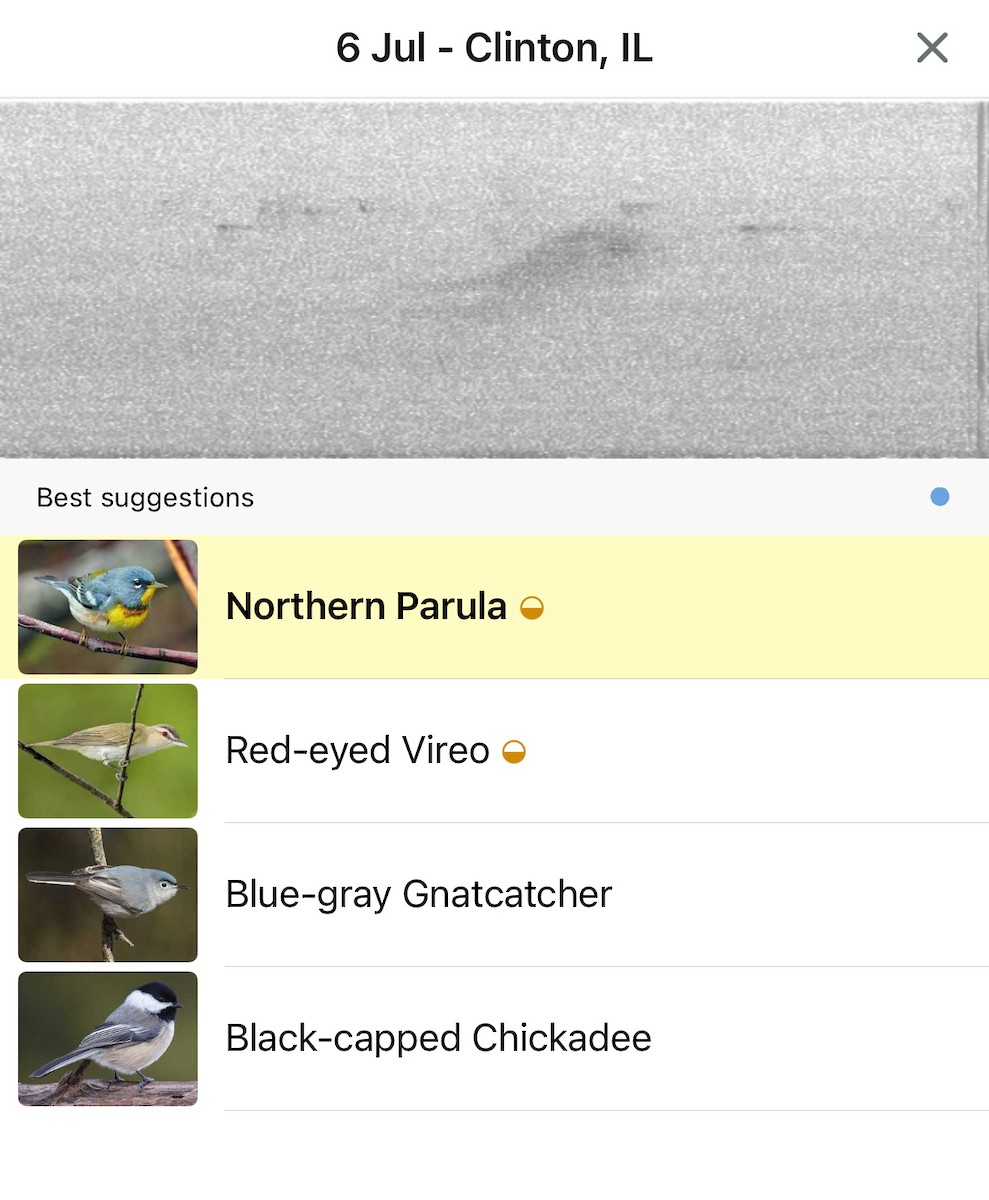 Northern Parula - ML638546271