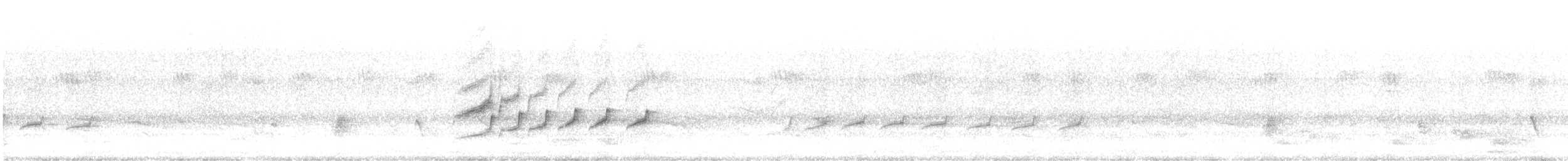 Common Woodshrike - ML638546574