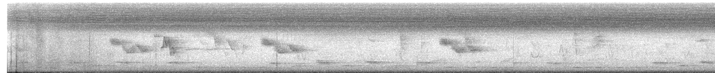 gråhalsrikse - ML638546867