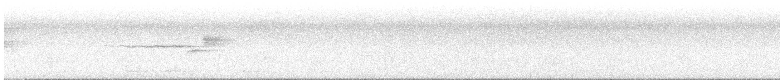 lesňáček proužkoboký - ML638546959