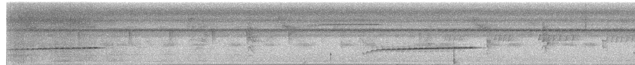 Long-billed Gnatwren - ML638547568
