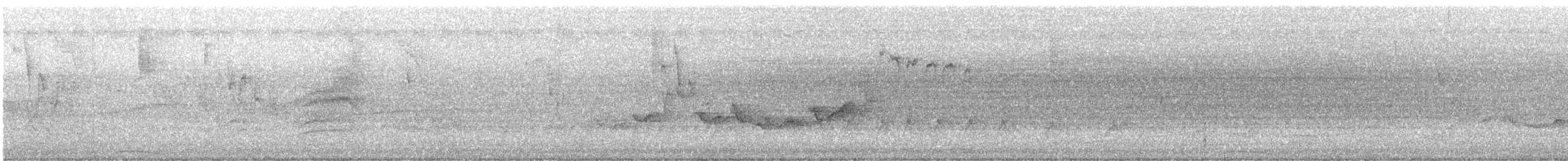 Eastern Warbling Vireo - ML638547823