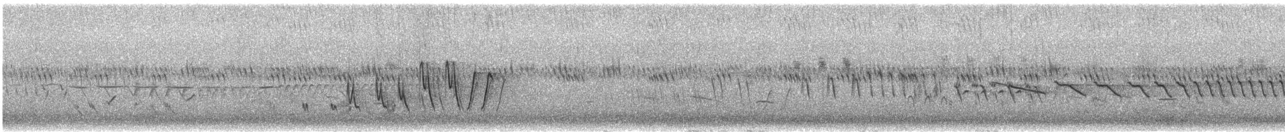 brannfeltparula - ML638548519