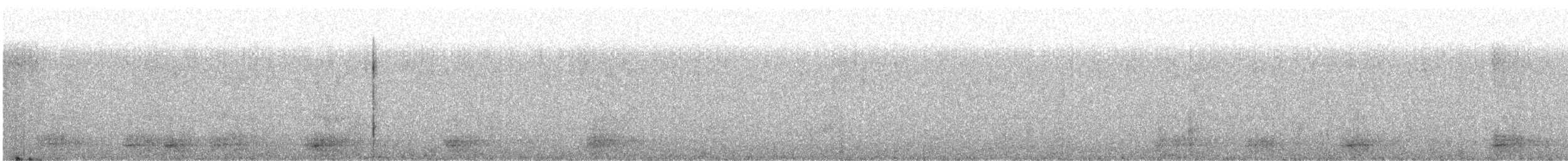 Pied Crow - ML638549431
