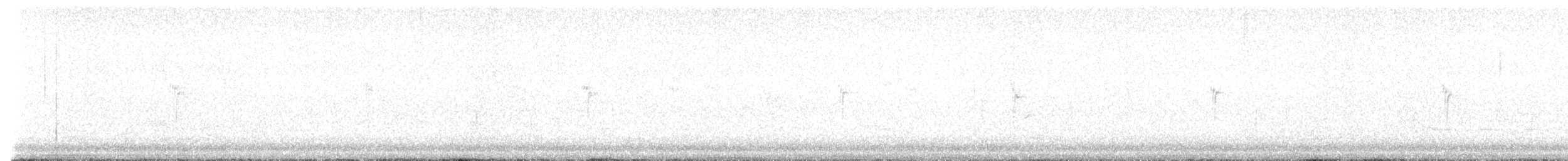 White Wagtail (British) - ML638549887