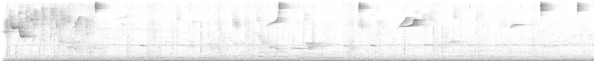 stripehodeparula - ML638549975