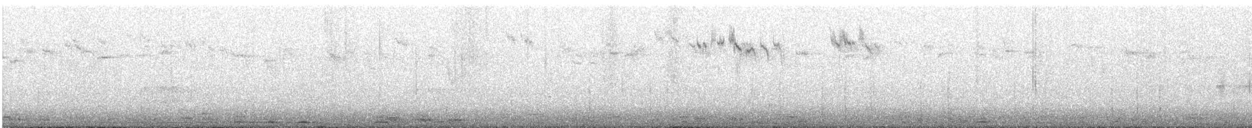 Patagonian Forest Earthcreeper - ML638551844