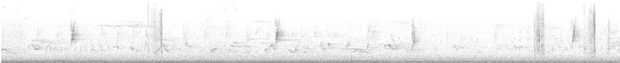 new world flycatcher sp. - ML638552696