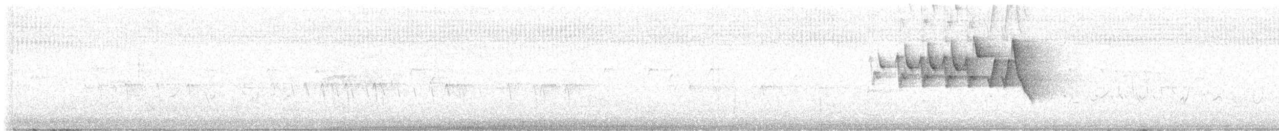 Chestnut-sided Warbler - ML638552997