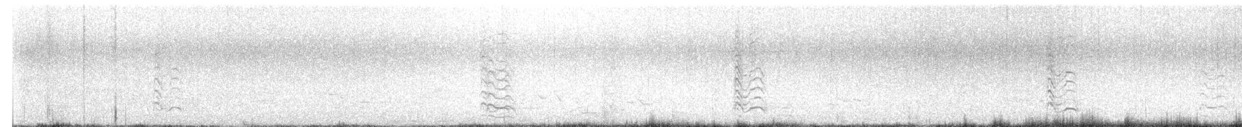 Antxeta mokogorri amerikarra - ML638555124