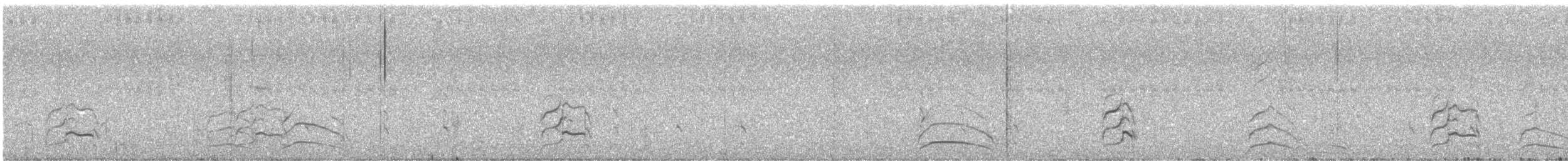 Mouette de Franklin - ML638556017