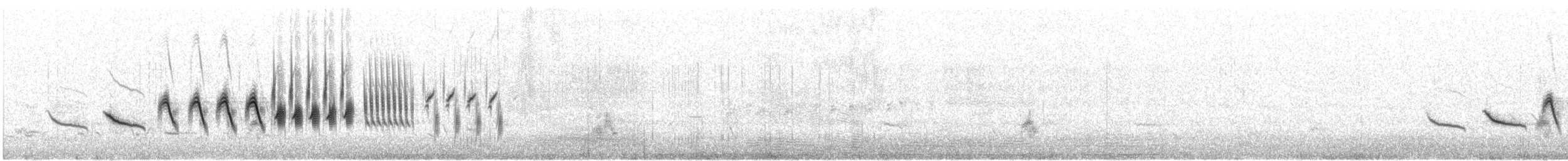 オジロヒメドリ - ML638556937