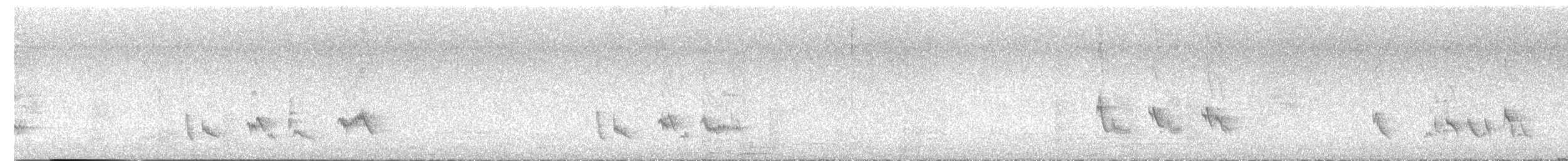 Tropical Mockingbird - ML638557260