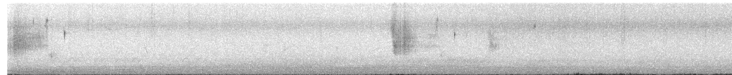 Nelson's Sparrow - ML638557409