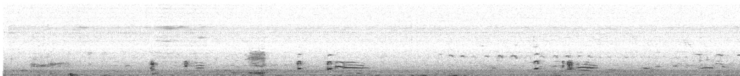 Coscoroba Swan - ML638557695