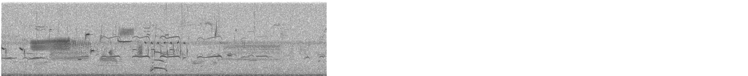 American Herring Gull - ML638557741