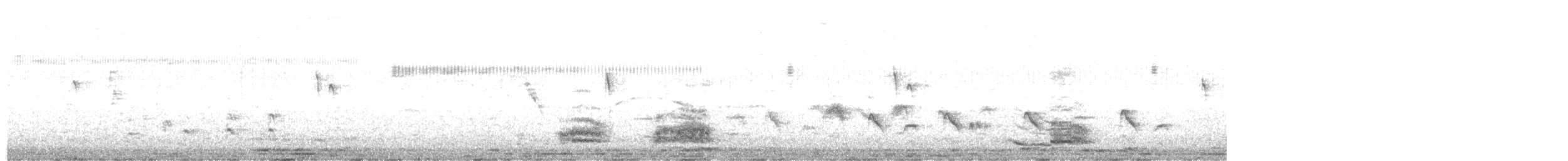 Snowy Egret - ML638557754