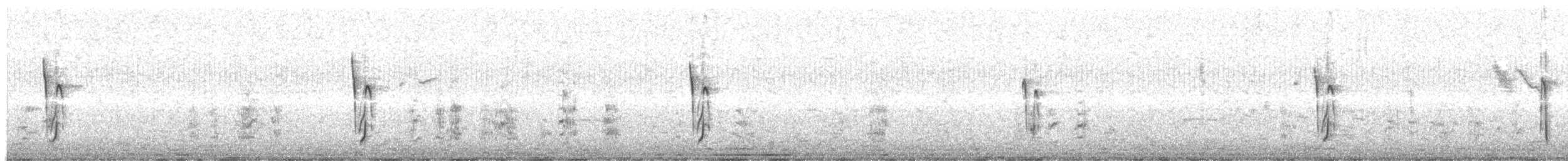 Sooty Tyrannulet - ML638557774