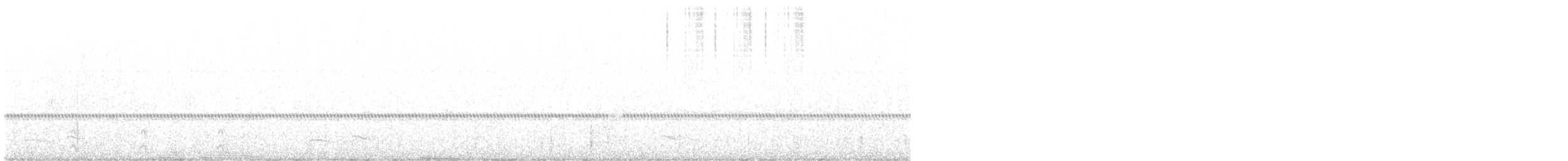 Chotacabras Pachacua - ML638558539