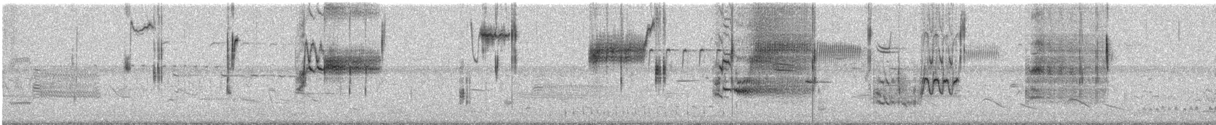 Saltmarsh Sparrow - ML638559226