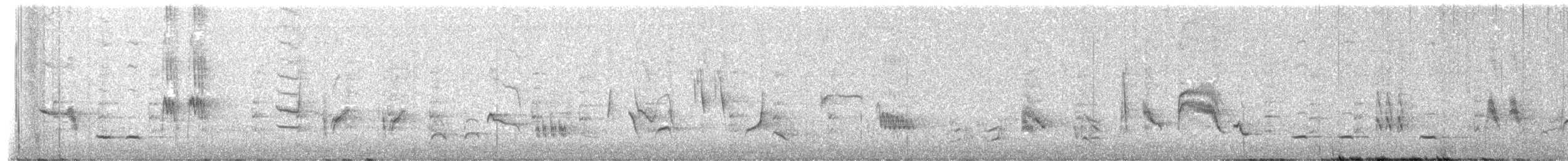 langnebbspottefugl - ML638559698