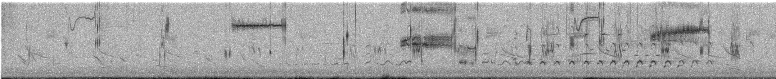 Bruant à queue aiguë - ML638560361