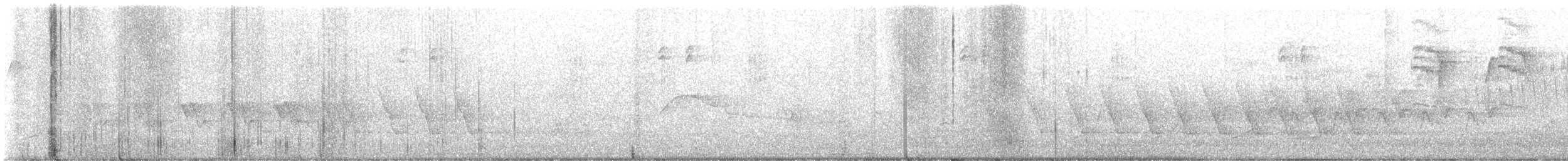 kentuckyparula - ML638561434