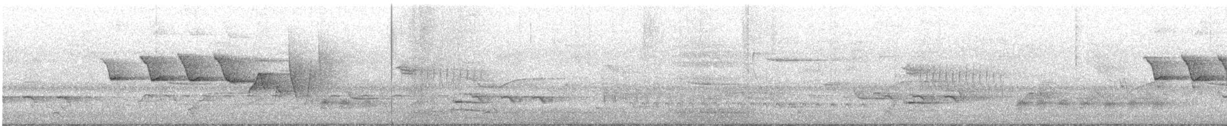 strømparula - ML638561546