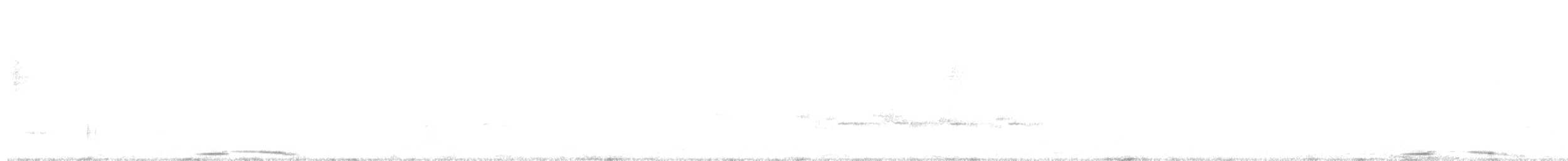 sørgedue - ML638561574