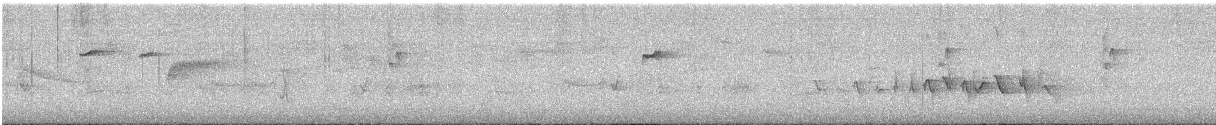 vestempid - ML638561600