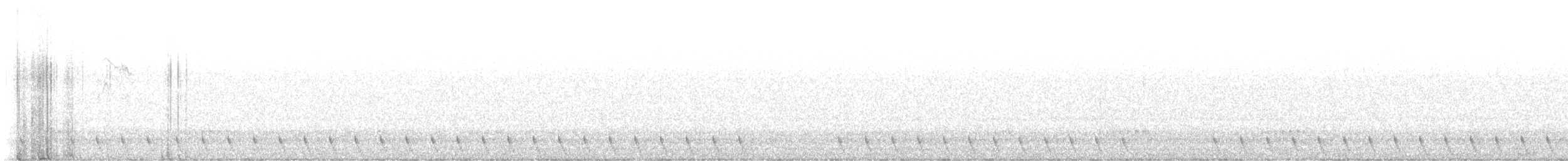orientnattravn - ML638561622