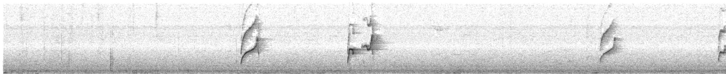 gråstifthale - ML638562080