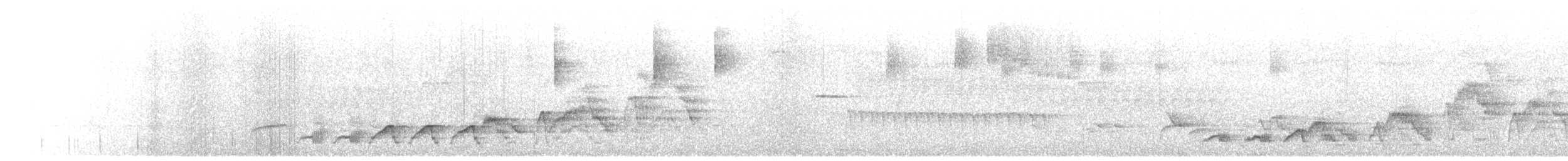 Swainson's Thrush - ML638562673