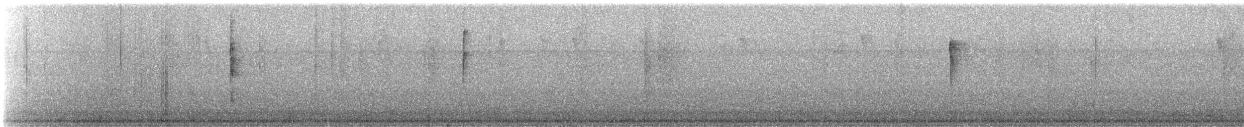 Mottle-cheeked Tyrannulet - ML638563314
