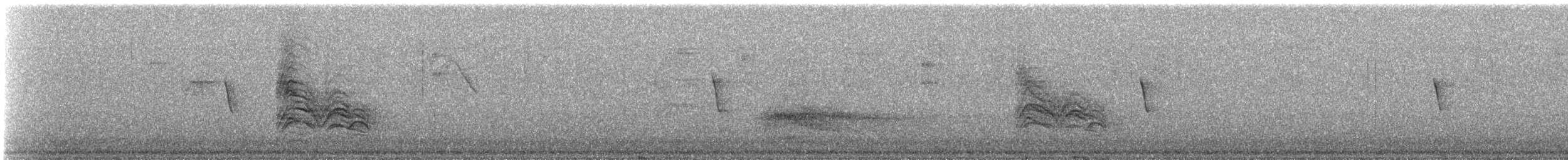 småkasik - ML638563458