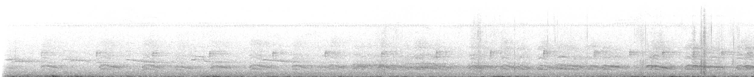 Ahate karolinarra - ML638563724