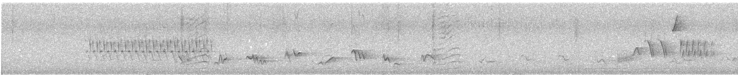 strnadec zimní [skupina oreganus] - ML638563747