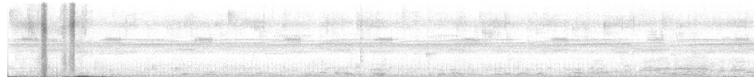 Black-banded Owl - ML638564405