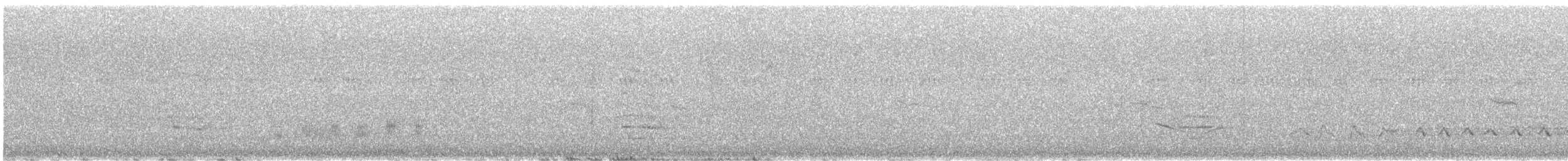 Northern Mockingbird - ML638564817