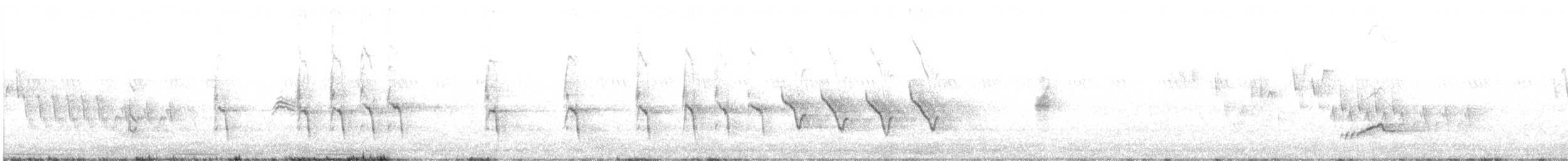 Northern Mockingbird - ML638565049