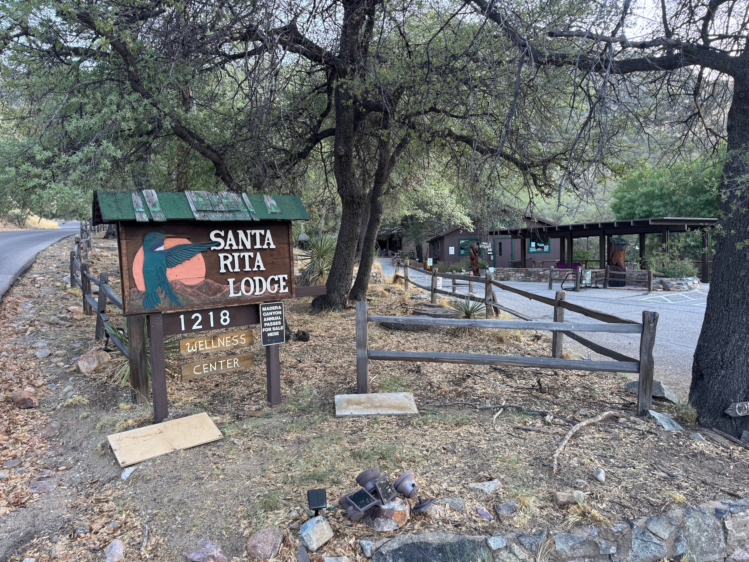Santa Rita Lodge in Madera Canyon has feeders of all types with hummingbirds on close display