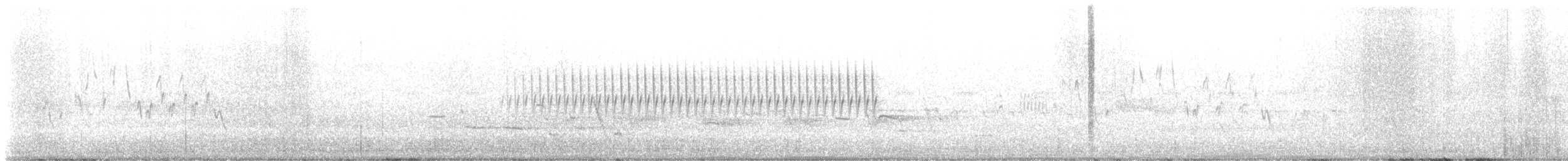 Western Tanager - ML638565633