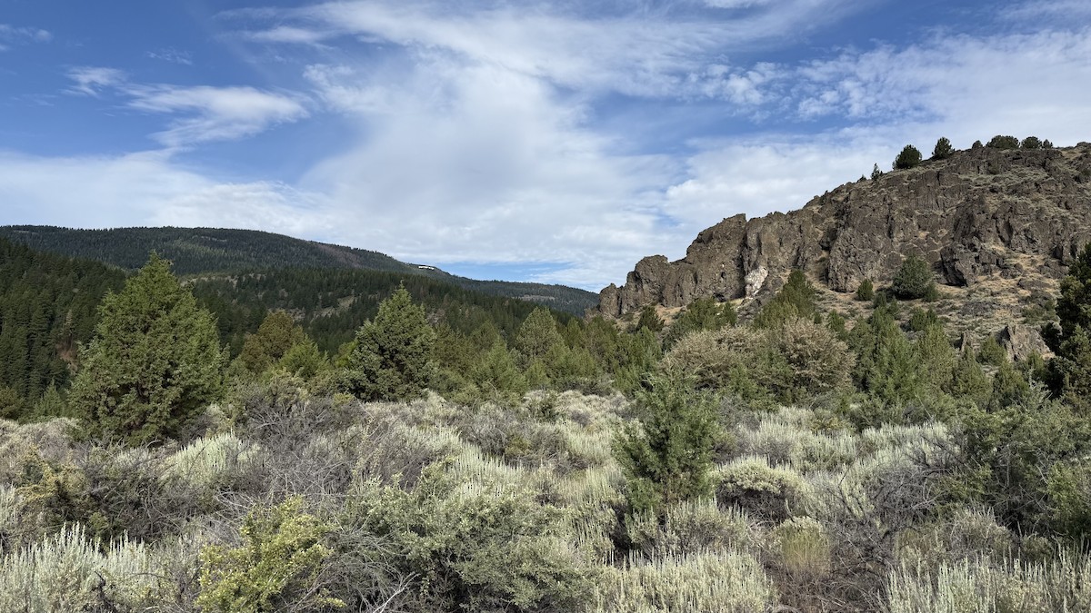 null - ML638566304