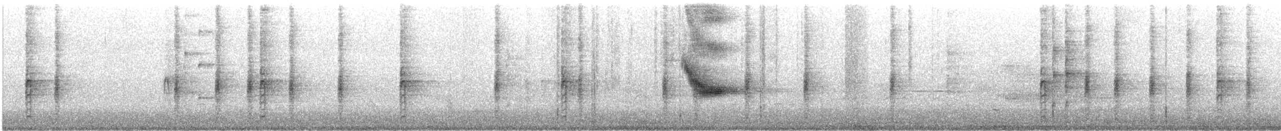 Virginia Rail - ML638566607