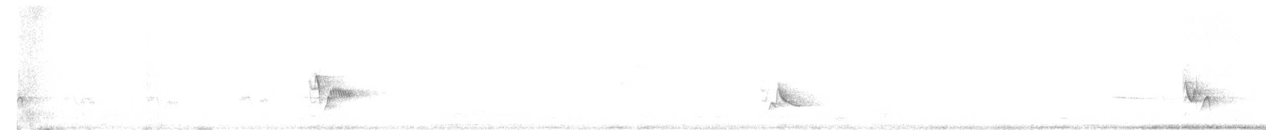 Plumbeous Vireo - ML638566670
