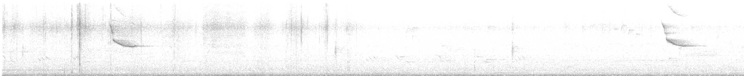 Common Loon - ML638570671