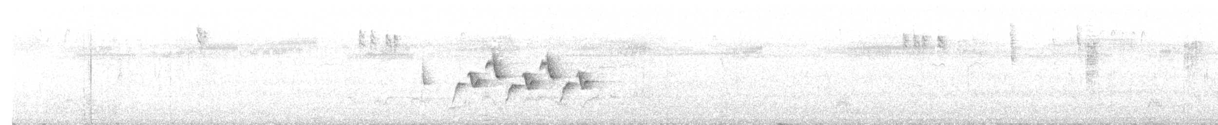 Alström's Warbler - ML638571099