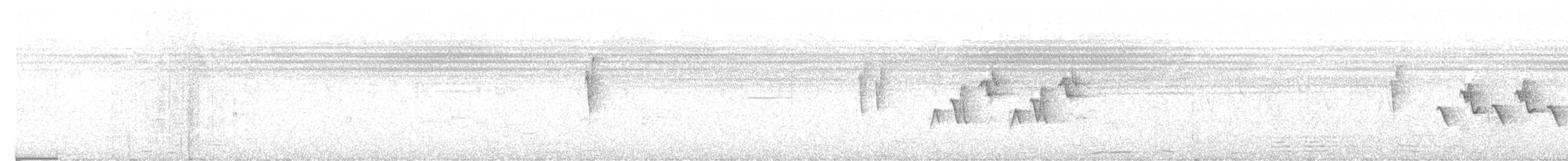 Alström's Warbler - ML638571111