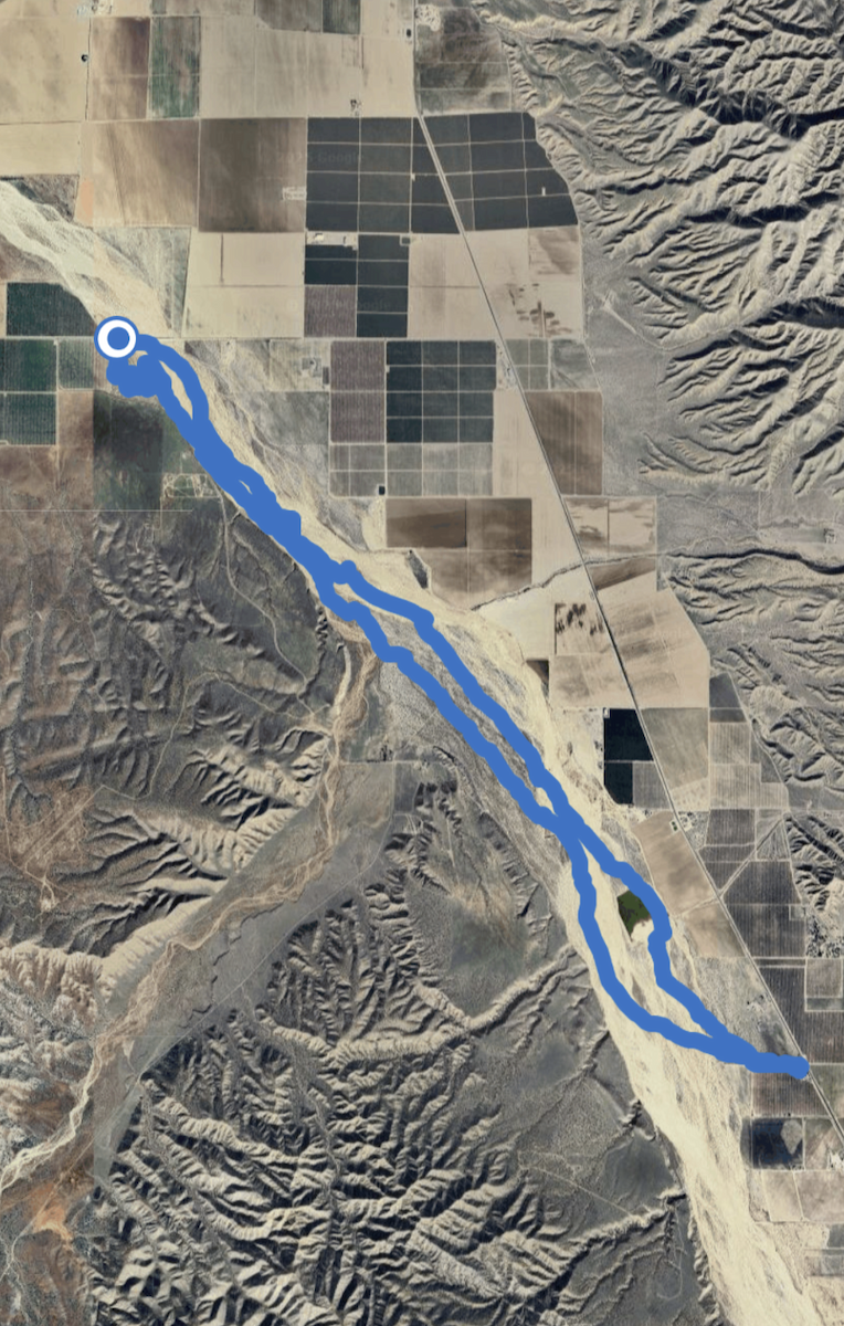eBird Checklist - 25 Jan 2025 - Cuyama River Riverbed South of Foothill ...
